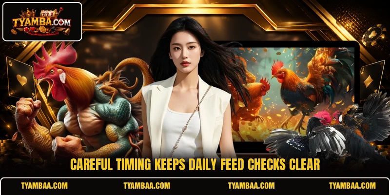 Careful timing keeps daily feed checks clear Careful timing keeps daily feed checks clear