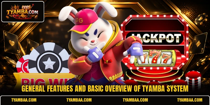 General features and basic overview of TYAMBA system