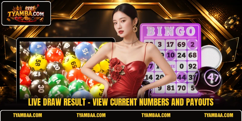 Live Draw Result - View Current Numbers And Payouts