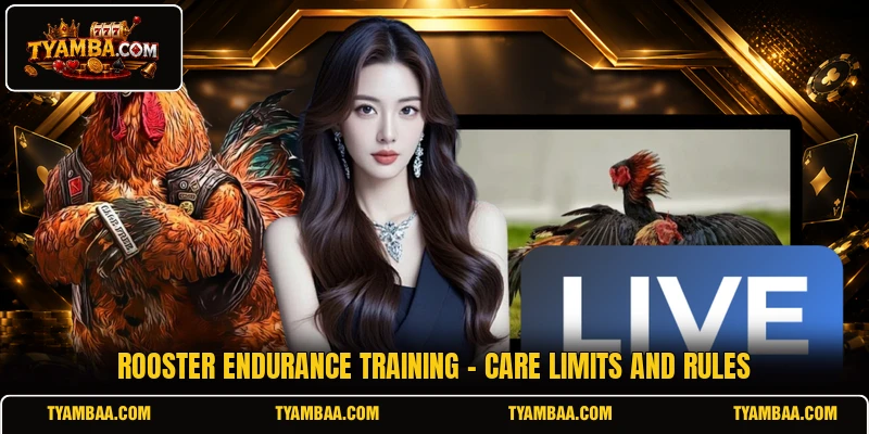 Rooster Endurance Training - Care Limits And Rules