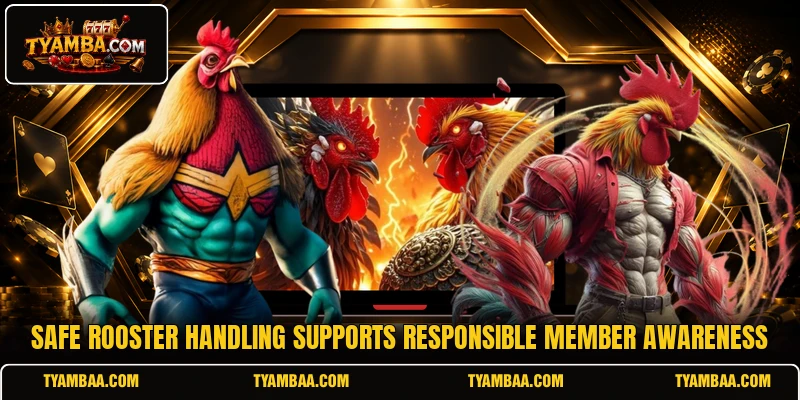 Safe rooster handling supports responsible member awareness Safe rooster handling supports responsible member awareness